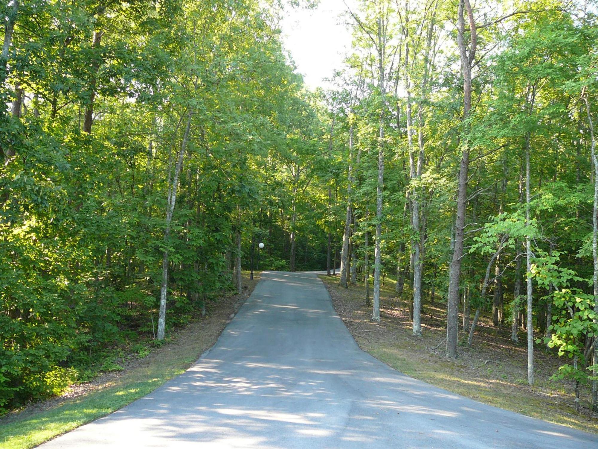 Smokie Mountain Lake House On Douglas Lake - 11 Bedrooms, 6 Bathrooms Sleeping 30 - Lakefront, Secluded, Private, Gated, Personal Boat Dock, Hot Tub , Theater Room, Games Room, Hot Tub, Indoor & Outdoor Kitchens Sevierville Exterior photo